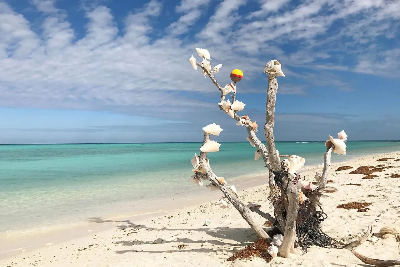 Holiday home Conch Casa Villa Key West United States
